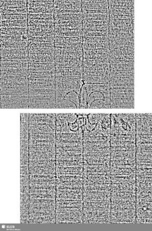 Lilie / IES / H = S.3/4+15/16