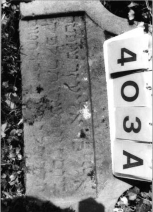 Grabstein 403 (Index: 99792058) Material: Sandstein Zustand: verwittert mit Textverlust, unterer Teil der Stele fehlt, Stele liegend Maße HxBxT: 52x59x10 cm Beschreibung: Stele, glockenförmiger Abschluß, rechteckiges Schriftfeld eingetieft: Grabstein 403A