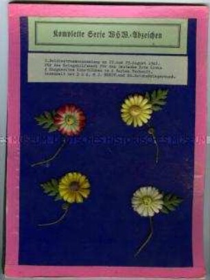 WHW-Abzeichen, Margueriten, Reichsstraßensammlung vom August 1942, durchgeführt vom DRK