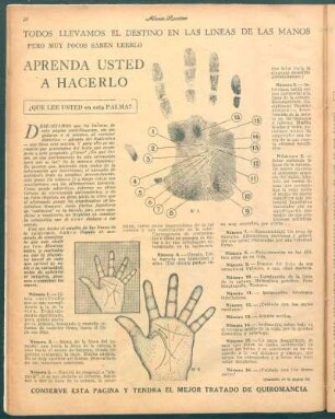 ¿Qué lee usted en esta palma?