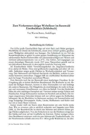 Zum Vorkommen einiger Wirbelloser im Bannwald Eisenbachhain (Schönbuch)
