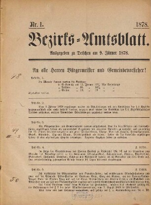 Bezirks-Amtsblatt. 1878