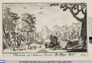 Falkenjagd