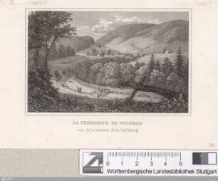 La Promenade De Wildbad : vue de la hauteur de la Carlsburg