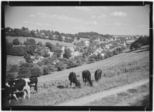 Dittersdorf