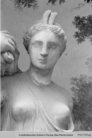 Weiblicher Kopf - Venus Genetrix - Motiv