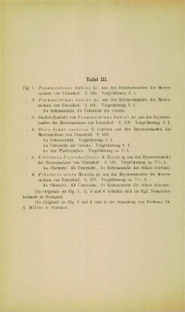 [Erläuterungen zu] Tafel III