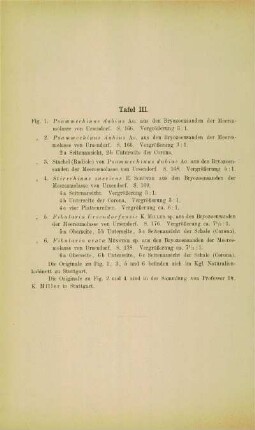 [Erläuterungen zu] Tafel III