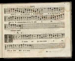 XVI. Et exultauit spiritus meus (Tertij Toni)