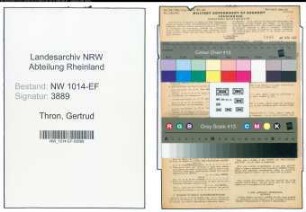 Entnazifizierung Gertrud Thron , geb. 05.02.1900 (Geschaeftsfrau)
