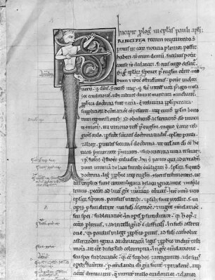 Commentarius in epistolas S. Pauli / Kommentar zu den Paulusbriefen — Initial P mit Fischwesen, Folio fol. 1 v