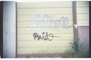 Raid