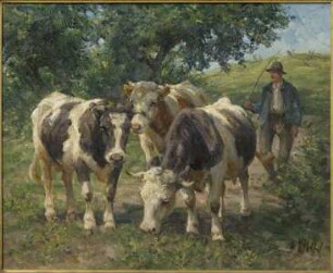 Bauer mit drei Kühen