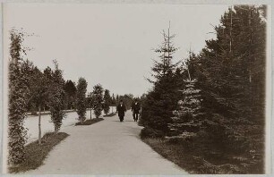 Straße zur 5ten Kapelle, Ohlsdorfer Friedhof Hamburg