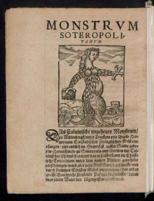 Monstrum Soteropolitanum.