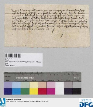 Hans Storg und Hans Messerschmid sagen der Stadt Nürnberg von wegen des Junkers Hans von Riethaim zu Kaltenburg Fehde an. - Siegler: Hanns von Riethain.