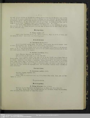 Passeres