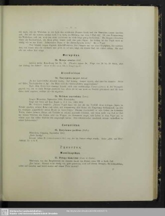 Passeres
