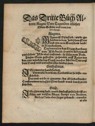 Das Dritte Buch Alberti Magni/ Von Tugenden etlicher Edlen Gestein/ und von irer wirckunge.