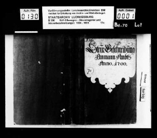 Steuerbeschreibungen und Steuerregister im Ammanamt