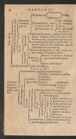 [Tabula XLI.-L.]