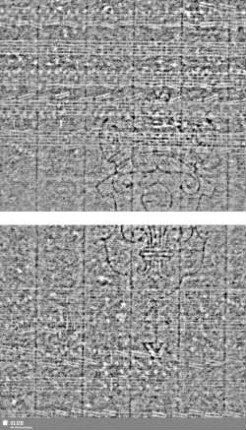 Lilienschild + WR / IV = Cemb.-S.2-4