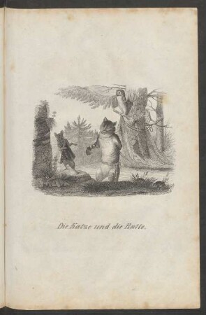 Die Katze und die Ratte.