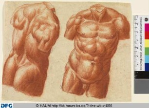 Torso (Studie nach Antikenmodell)