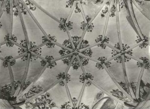 Pirna. Stadtkirche St. Marien. Gewölbe