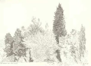 Provence 1995