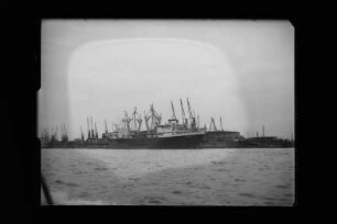 Peter Rickmers (1962), Rickmers Linie GmbH & Cie. KG, Hamburg