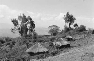 Amharische Priesterhütten : Hütten in einer hügeligen Landschaft