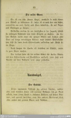 Raubvögel