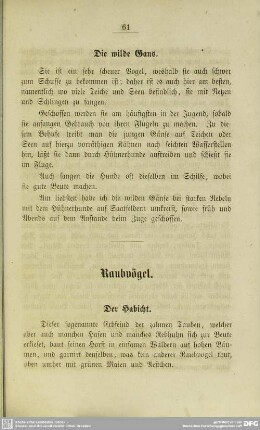 Raubvögel
