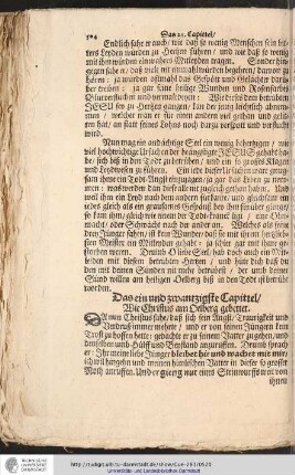 Das ein und zwanzigste Capittel