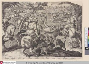 [Ostrich hunt; Straußenjagd]
