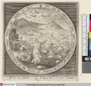 [Fifth Day: The Creation of Birds and Fish; Fünfter Tag: die Schöpfung Vögeln und Fischen]
