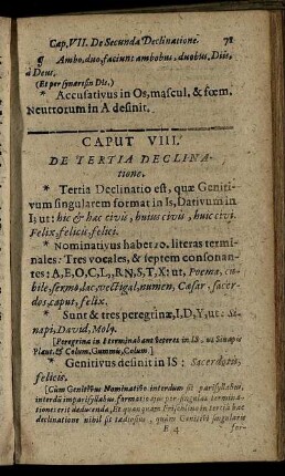 Caput VIII. De Tertia Declinatione.