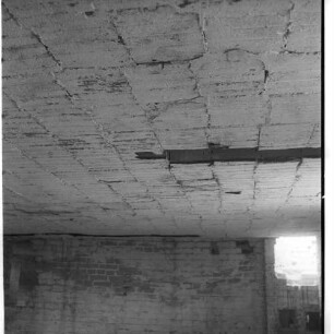 Negativ: Ruine, Grazer Damm 225, 1954