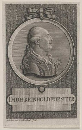 Bildnis des Ioh. Reinhold Forster