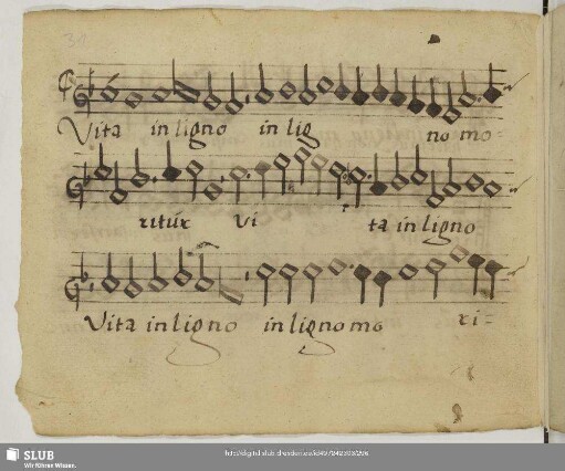 [Senfl, Ludwig:] Vita in ligno moritur
