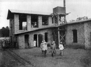 Kiuhui: Besuch der Prinz Albrecht Plantage. (Sisalhanf)
