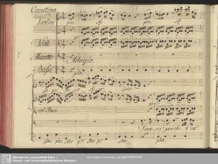 Cavatina: Dove sei