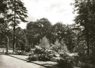 Dresden. Schloss Eckberg. Park