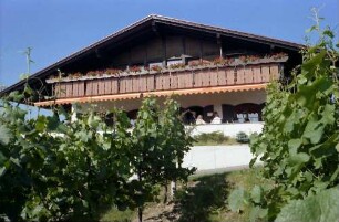 Kressbronn: Weingut Torggel , Haus im Weinberg