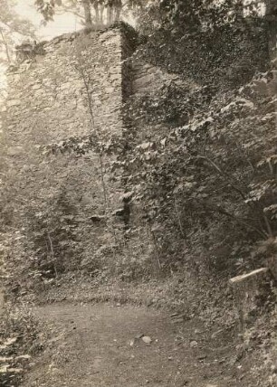 Schloss Purschenstein