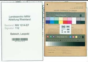 Entnazifizierung Leopold Balesch , geb. 14.03.1906 (Melker)