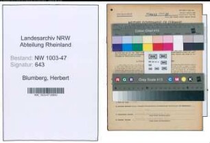 Entnazifizierung Herbert Blumberg , geb. 02.08.1913 (Arzt)