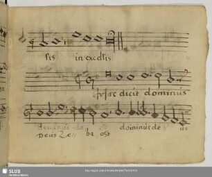 [Anonymus:] Haec dicit Dominus Deus