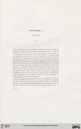 Chapitre V: Céramique